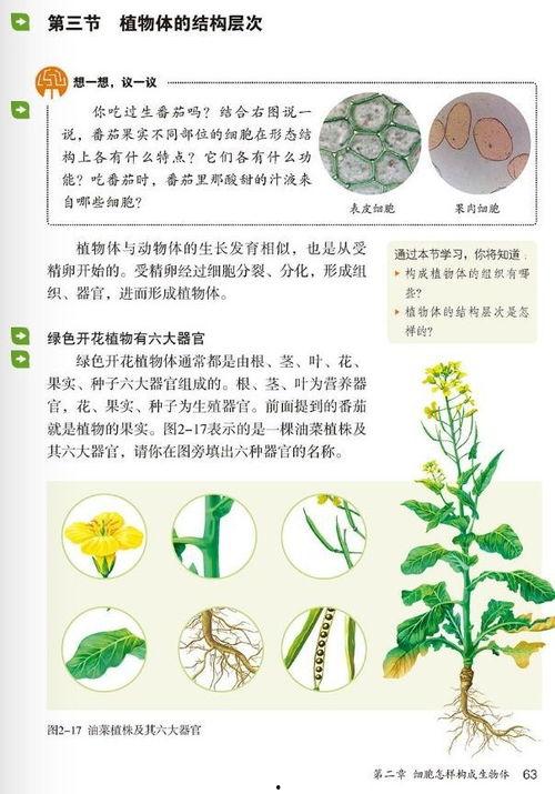 初一生物教学视频,探索生命奥秘之旅