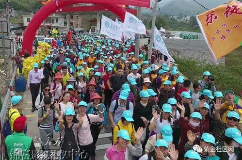 紫金南岭结婚视频,甜蜜瞬间记录美好时光