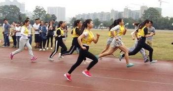 800米跑步视频,挑战极限,展现速度与耐力的精彩瞬间