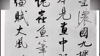 书法 视频,视频中的笔触与意境解析