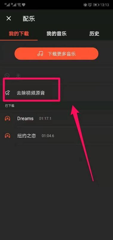 视频去音乐,一场视觉与听觉的完美邂逅